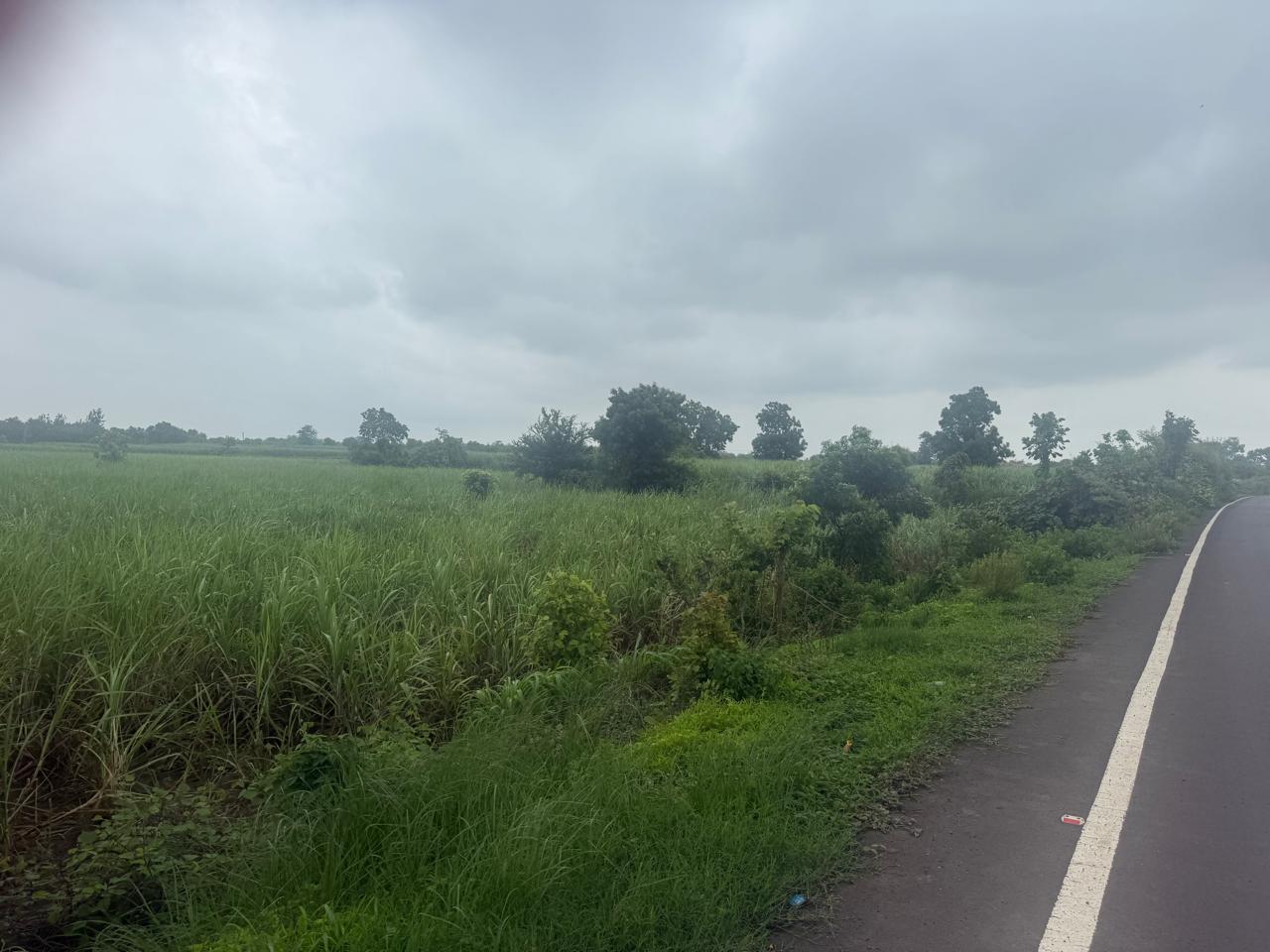 Prime NA Land in Ranveri Khurd, Navsari
