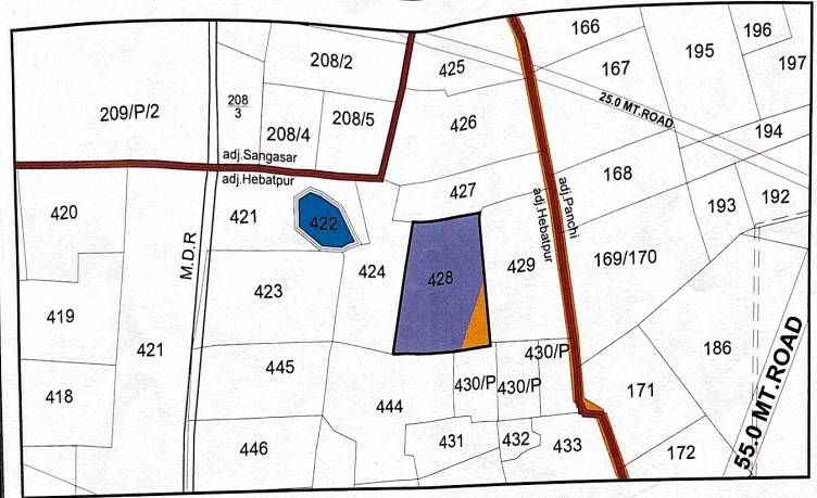 Prime NA Land in Hebatpur–Dholera
